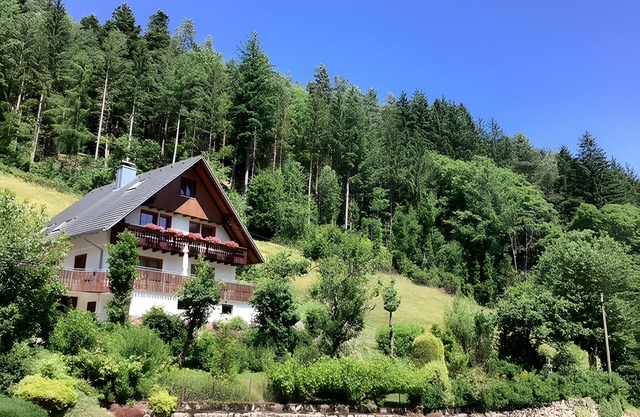 Apartment 'Living in the Green' with Mountain View, Balcony and Wi-Fi