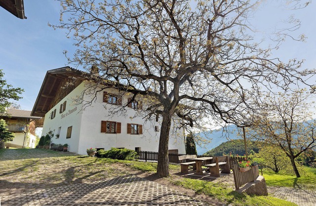 Apartment 'Moar im Rumsein - Saltenblick' with Mountain View, Wi-Fi & Garden