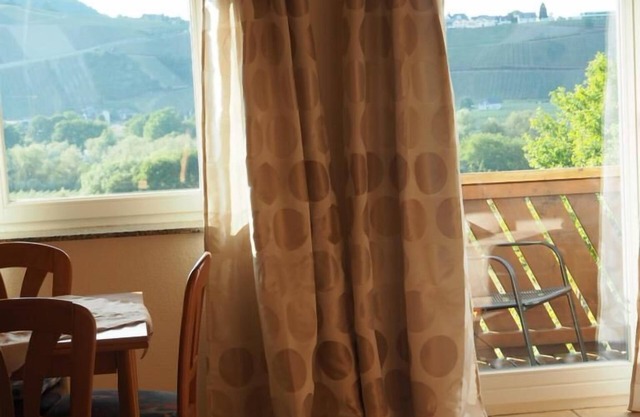 Apartment-Private Bathroom-FeWo mit Moselblick 1