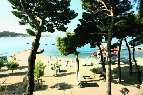 The Beach 