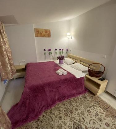 Apartment Studio on Bucuresti 9/1