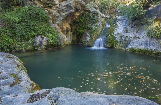 Apartment Torrellenc