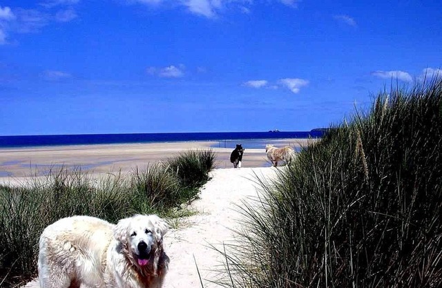 Apartment With Wonderful Sea Views