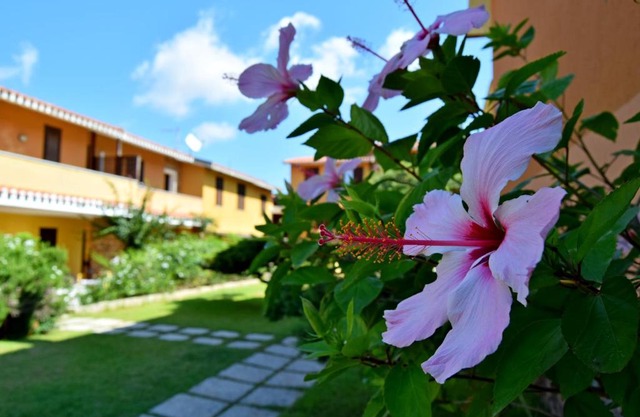 Appartamento Simona By La Via Del Mare Viaggi e Vacanze