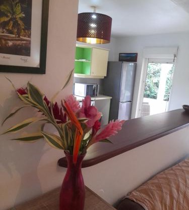 Appartement spacieux quartier calme de Sofaia