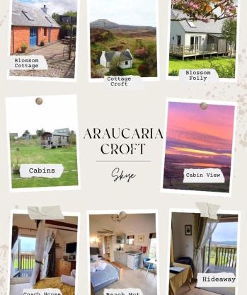 Araucaria Croft Skye