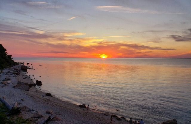 Arbor View House B&B