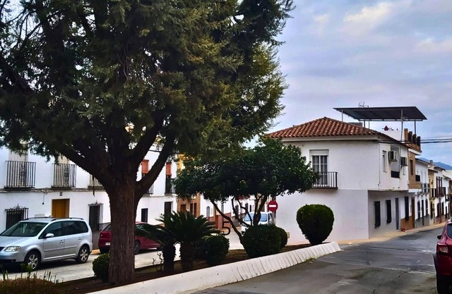 Arcadia, Andalusia center