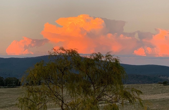 Arlamont - Private, Peaceful And The Perfect Place To Bring Family And Friends