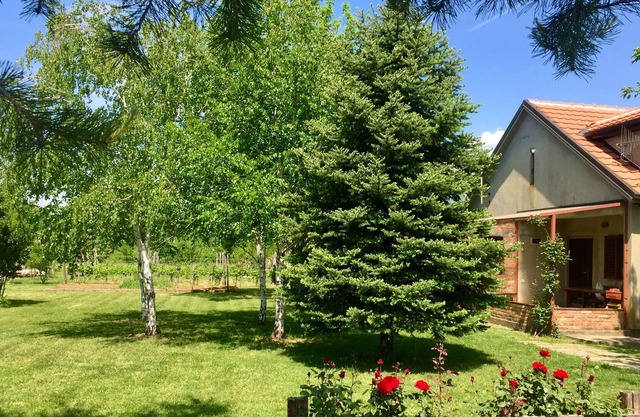 Artist ranch with vineyard, piano, kayak, bicycles and beautiful garden.