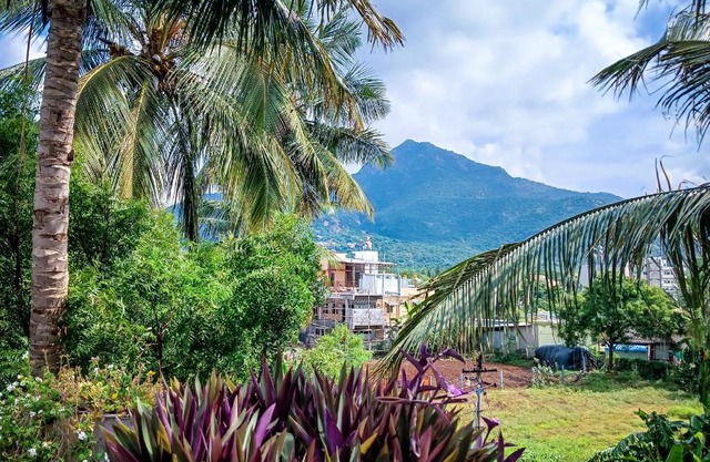 Arunachala Guest House - 1bhk
