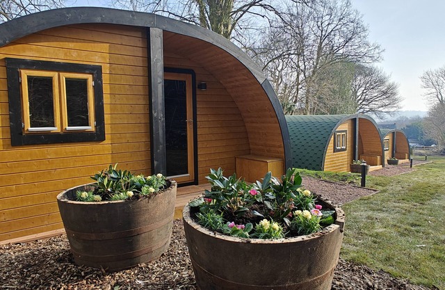 Ash - Pantygelli Escapes