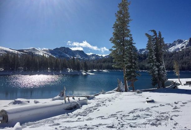 Aspen Creek #119