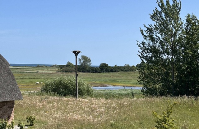 Atelierhaus Morsezeichen Unter Reet für bis zu 8 Personen mit Wildwiesenblick