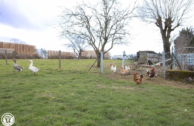 Au Coin des Bois - Neuf Eglise