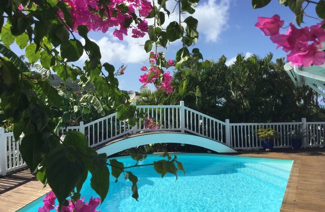 AVILLA OF sea-green STANDING 6/8 with sight on the Sainte Rose caraibe