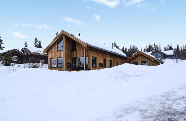 Awesome home in Rauland with sauna