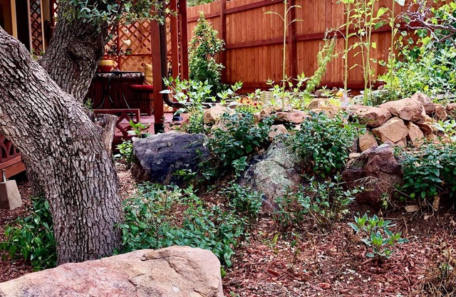 Baba's Garden - a sweet cozy private gem!