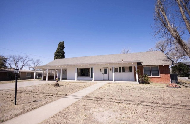 back to black odessa