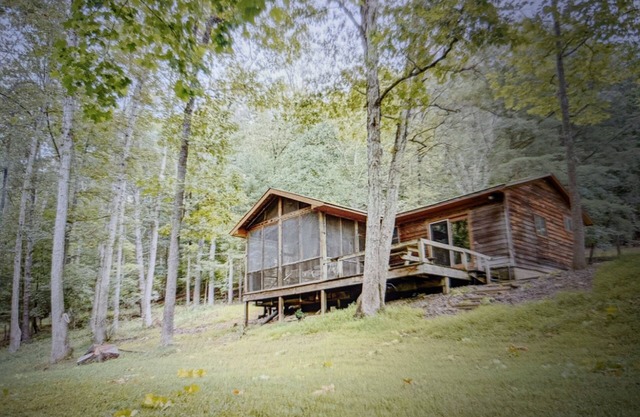 Backyard creek, screened porch