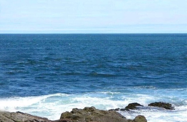 Bar Harbor Panoramic Oceanfront for Your Whole Family! Kids and Dogs Love It!