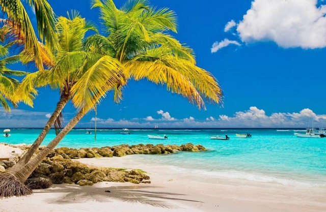 Barbados Escape: Kitchenette, Outdoor Pool, Free Beach Sunbeds, Great Views!