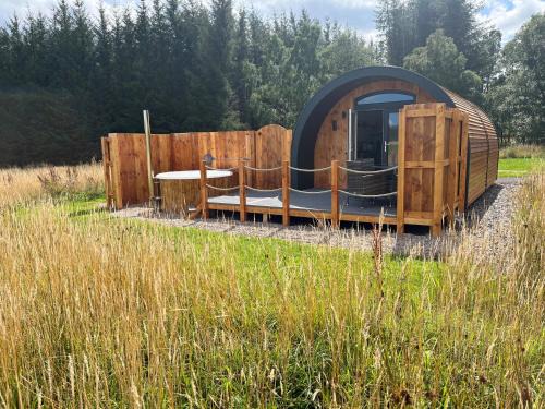 Barn Owl Pod - Speyside