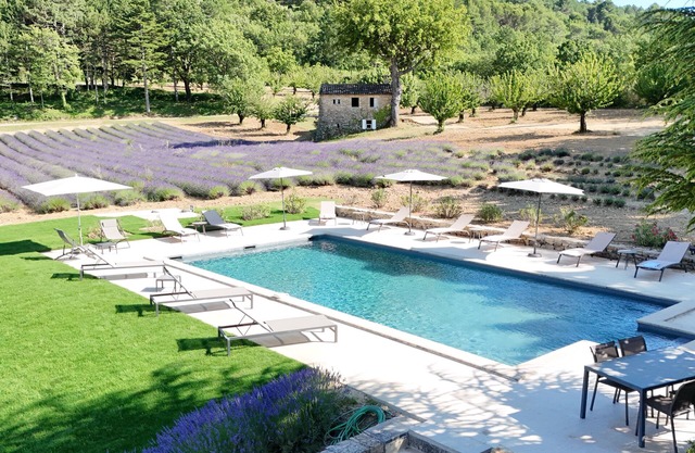 Bastide de l'Esclat - Pool - lavender fields