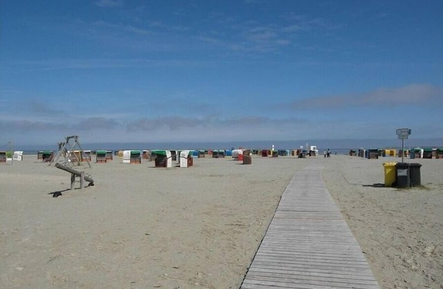 Beach Crab Modern Retreat