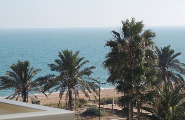 BEACH FRONT OF ARENA