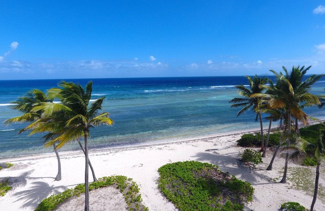 Beachfront Pelican Cove Penthouse Condo