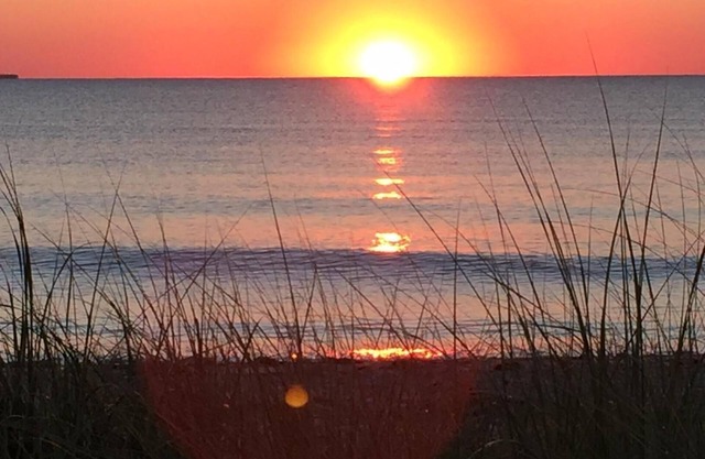 BEACHFRONT RENTAL An artist's house on a dune in a wildlife sanctuary.