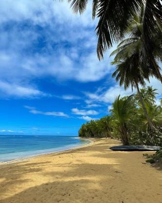 Beachside Apartment with Ocean View, Garden and 2 Swimming Pools