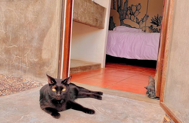 Beautiful 1BR Whale*w/Pool*15min to Cerritos Surf*