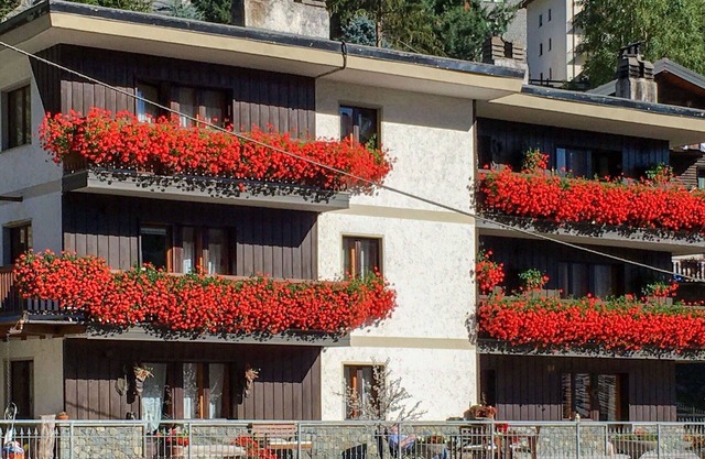 Beautiful apartment for 4 guests with WIFI, TV, terrace and pets allowed