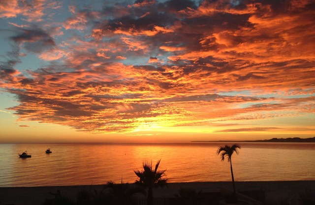 Beautiful Oceanview Beachfront Studio