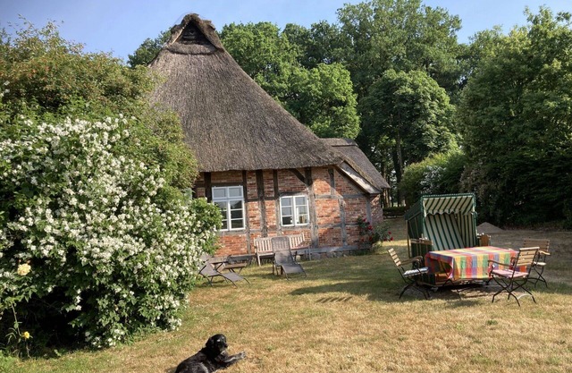 Beautiful private villa for 6 guests with WIFI and pets allowed