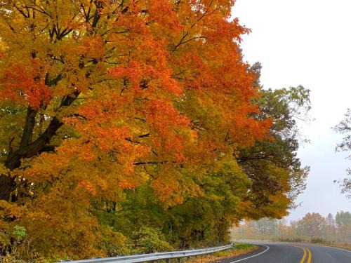 Beautiful studio loft near wineries, orchards, & beaches