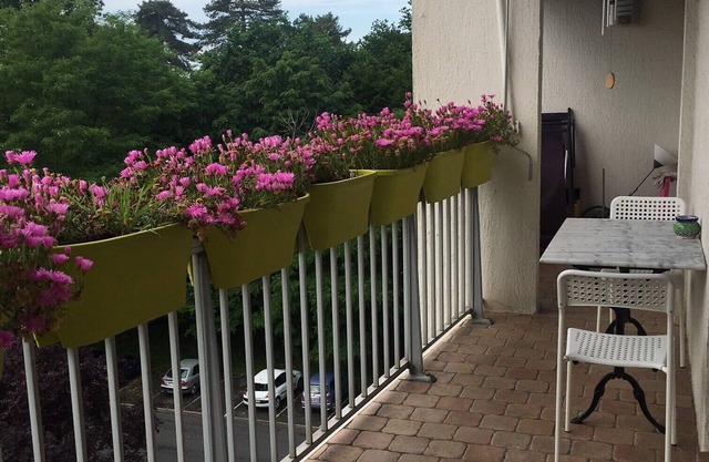 Beautiful sunny apartment with terrace in the center of Merignac