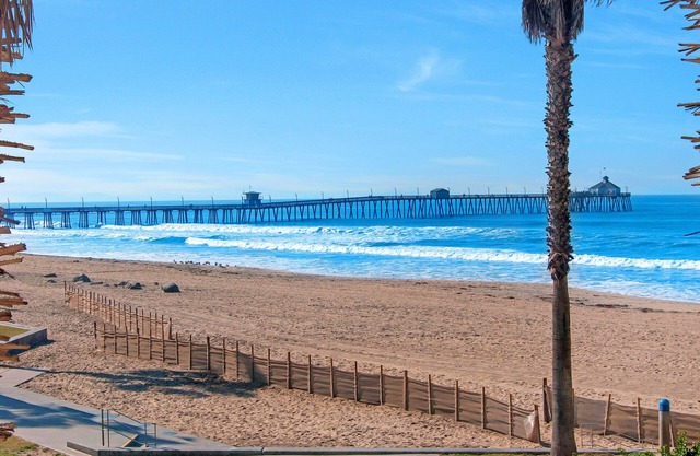 Beautiful View Overlooking Park And Ocean