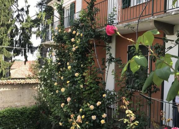 Roses Meni 