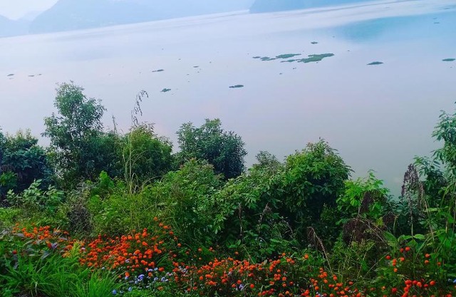 Begnas Lake Front Guest House