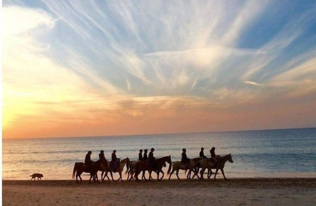 Bel Appartement sur le Kikar