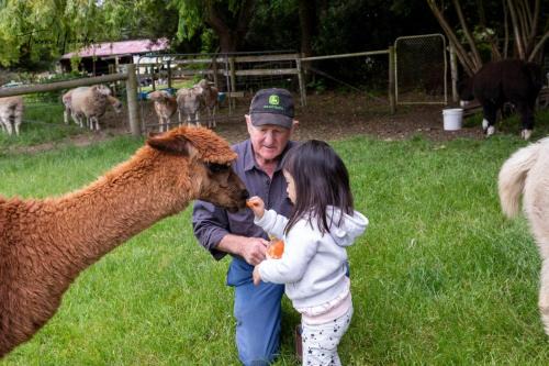 Bellevue Farmstay