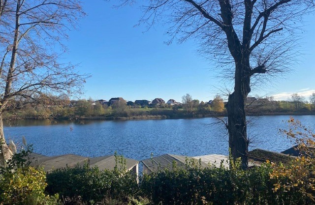 Bernie's happiness at sea
