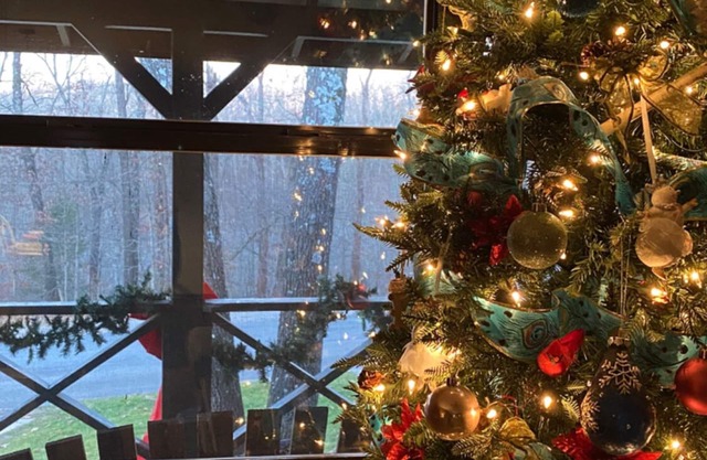 BEST Back 40 Cabin in the Woods! MTB, Hike, or just relax. Peaceful and cozy