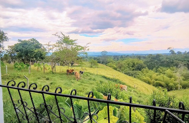 Betania alojamiento rural