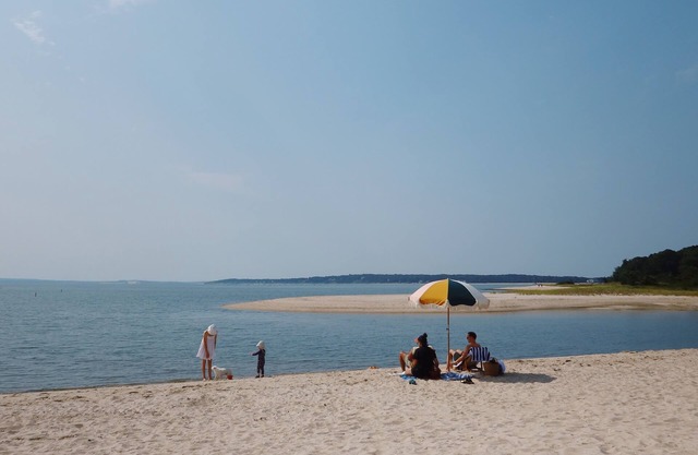 Between the Vineyard and Sea. Walk to sandy beach from this charming cottage.