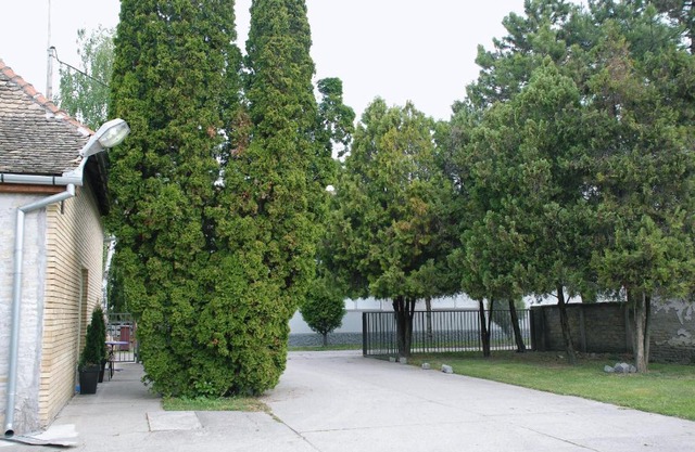 Bezdan Guesthouse