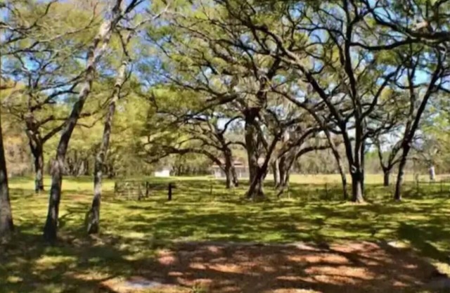 Big and Little Oak @ WFL Event Ranch